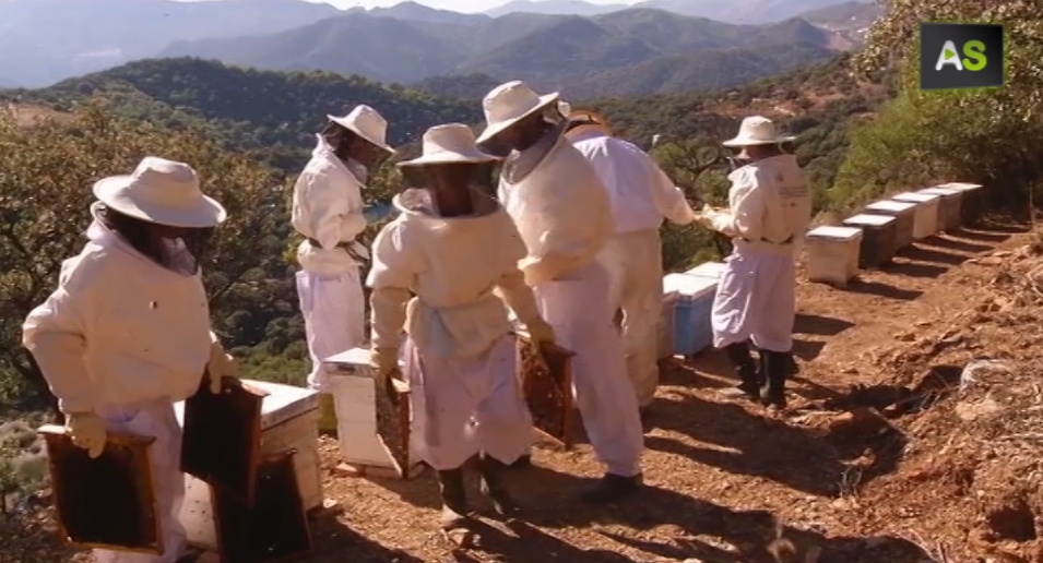 beekeeping alpandeire
